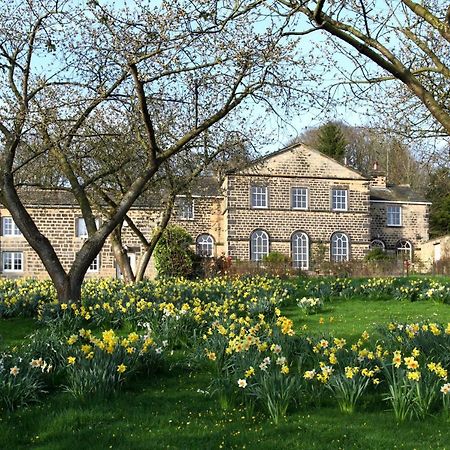 Harewood Estate Cottages Kültér fotó