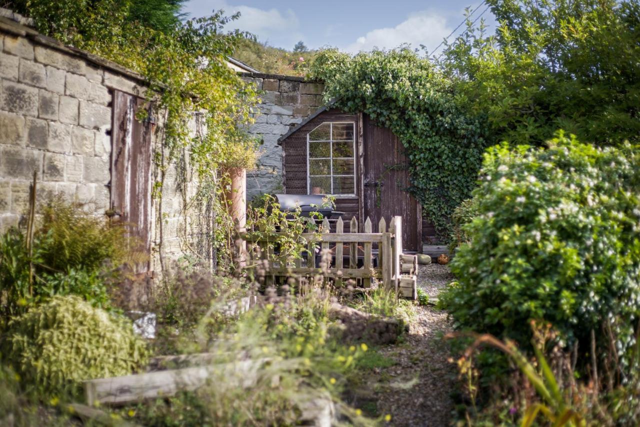 Harewood Estate Cottages Kültér fotó